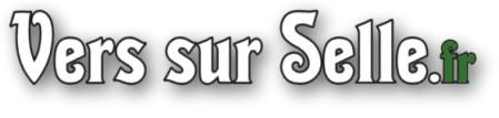 http://www.vers-sur-selle.fr