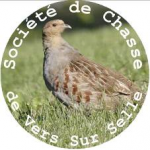 logosdcvss