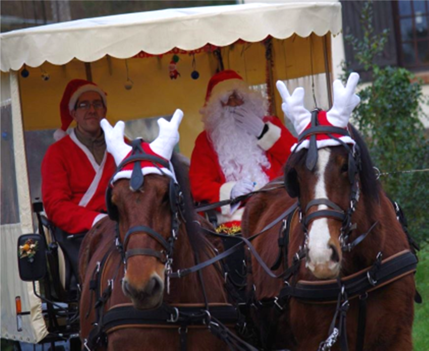 Remise des colis de Noël !